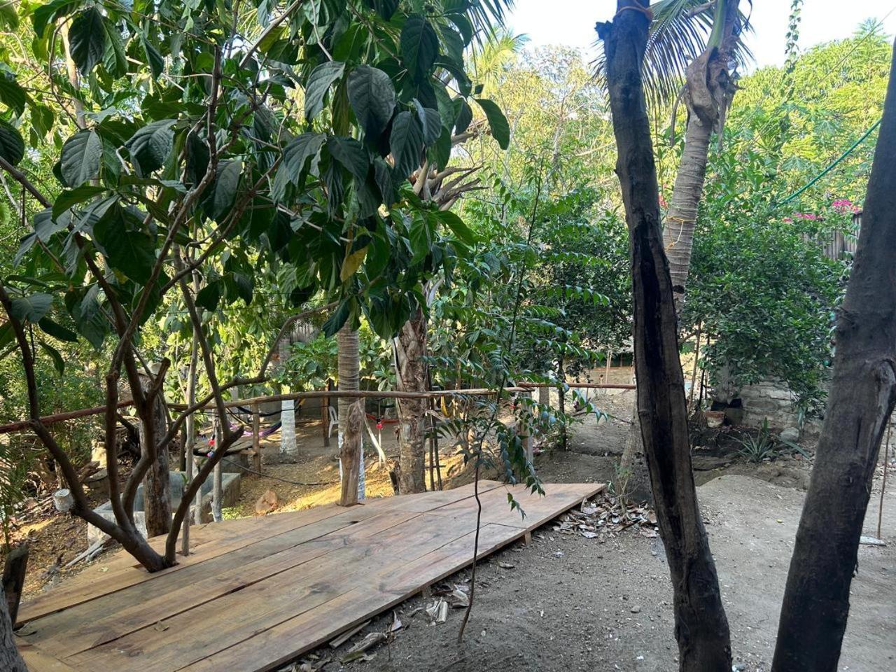 Casa De Las Brujas Hostal Zipolite Exterior foto